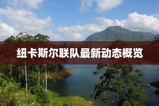 紐卡斯?fàn)柭?lián)隊(duì)最新動(dòng)態(tài)概覽