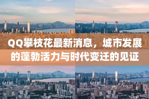 QQ攀枝花最新消息，城市發(fā)展的蓬勃活力與時代變遷的見證