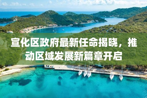 宣化區(qū)政府最新任命揭曉，推動(dòng)區(qū)域發(fā)展新篇章開啟