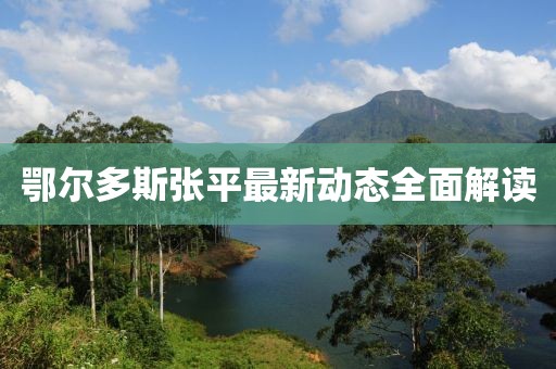 鄂爾多斯張平最新動(dòng)態(tài)全面解讀
