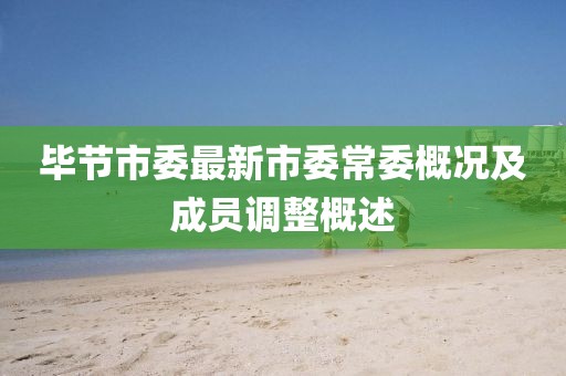 畢節(jié)市委最新市委常委概況及成員調整概述