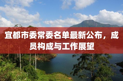 宜都市委常委名單最新公布，成員構成與工作展望