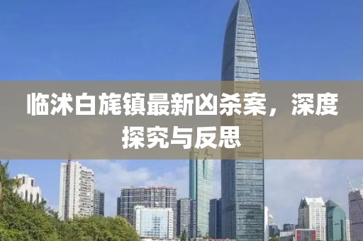 臨沭白旄鎮(zhèn)最新兇殺案，深度探究與反思