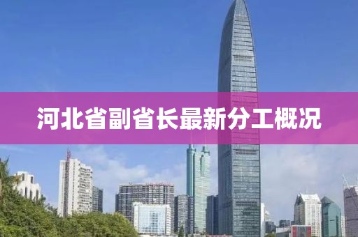 河北省副省長(zhǎng)最新分工概況