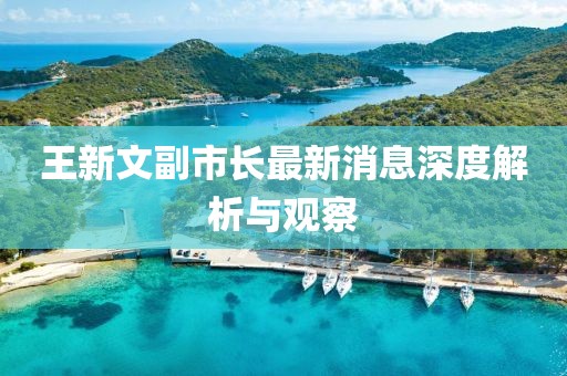 王新文副市長最新消息深度解析與觀察
