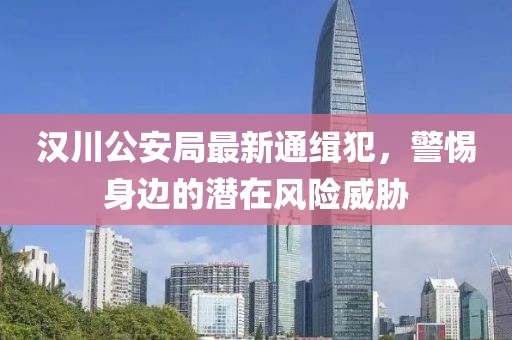 漢川公安局最新通緝犯，警惕身邊的潛在風險威脅