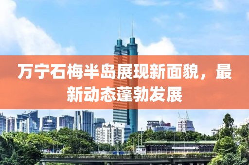 萬寧石梅半島展現(xiàn)新面貌，最新動態(tài)蓬勃發(fā)展