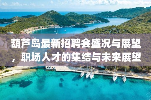 葫蘆島最新招聘會(huì)盛況與展望，職場(chǎng)人才的集結(jié)與未來(lái)展望