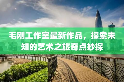 毛剛工作室最新作品，探索未知的藝術(shù)之旅奇點(diǎn)妙探