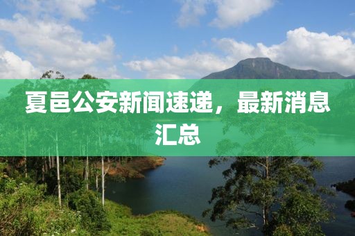 夏邑公安新聞速遞，最新消息匯總