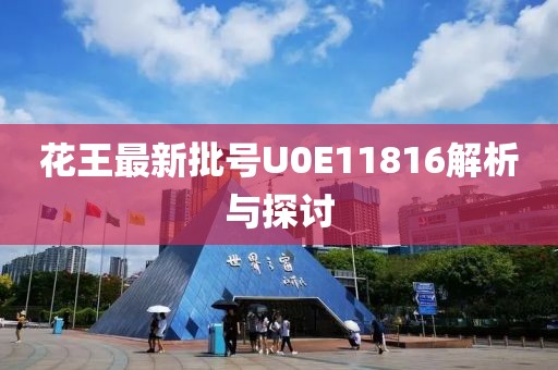 花王最新批號U0E11816解析與探討