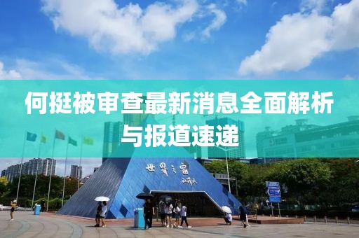 何挺被審查最新消息全面解析與報(bào)道速遞