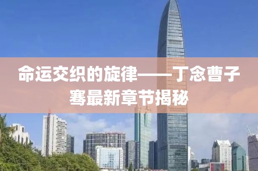 命運(yùn)交織的旋律——丁念曹子騫最新章節(jié)揭秘