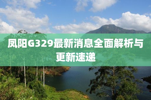 鳳陽G329最新消息全面解析與更新速遞