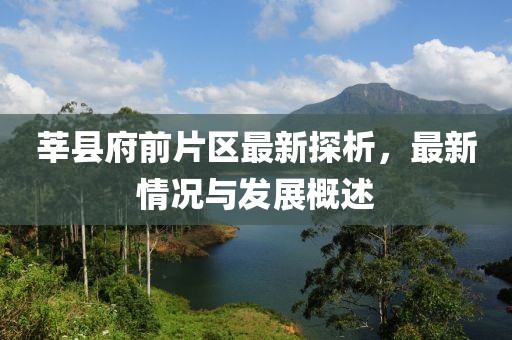 莘縣府前片區(qū)最新探析，最新情況與發(fā)展概述