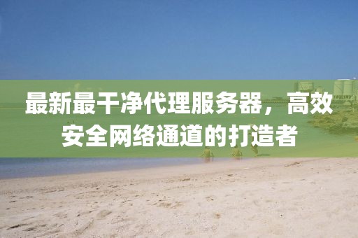 最新最干凈代理服務(wù)器，高效安全網(wǎng)絡(luò)通道的打造者