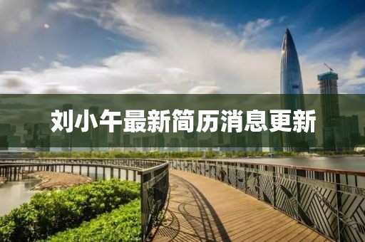 劉小午最新簡(jiǎn)歷消息更新