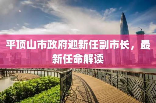 平頂山市政府迎新任副市長，最新任命解讀