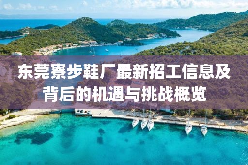 東莞寮步鞋廠最新招工信息及背后的機遇與挑戰(zhàn)概覽