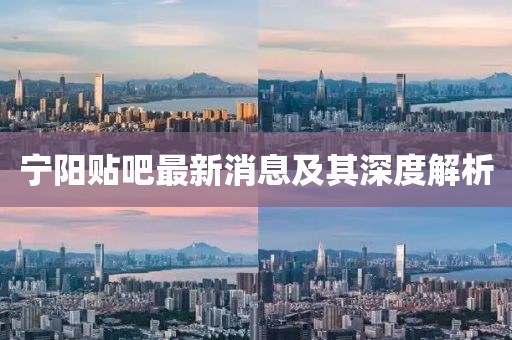 寧陽貼吧最新消息及其深度解析