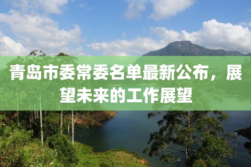 青島市委常委名單最新公布，展望未來(lái)的工作展望