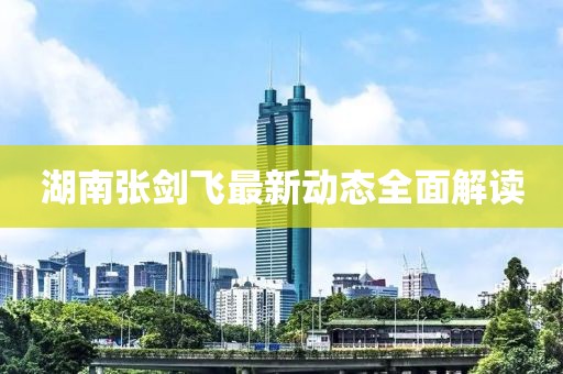 湖南張劍飛最新動態(tài)全面解讀