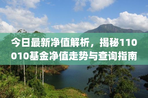 今日最新凈值解析，揭秘110010基金凈值走勢(shì)與查詢指南