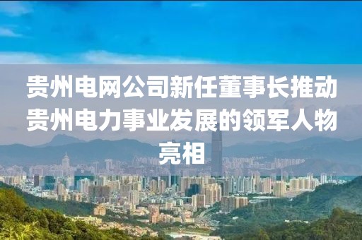 貴州電網(wǎng)公司新任董事長推動貴州電力事業(yè)發(fā)展的領(lǐng)軍人物亮相