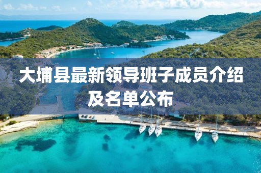大埔縣最新領(lǐng)導(dǎo)班子成員介紹及名單公布