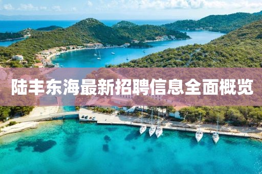 陸豐東海最新招聘信息全面概覽