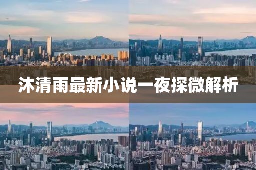 沐清雨最新小說一夜探微解析