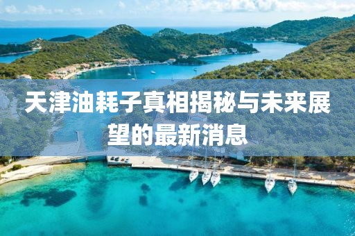 天津油耗子真相揭秘與未來展望的最新消息