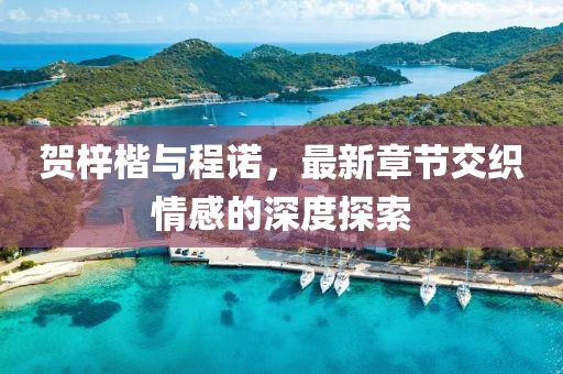 賀梓楷與程諾，最新章節(jié)交織情感的深度探索