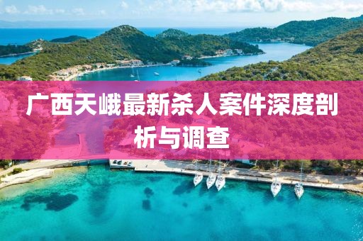 廣西天峨最新殺人案件深度剖析與調(diào)查