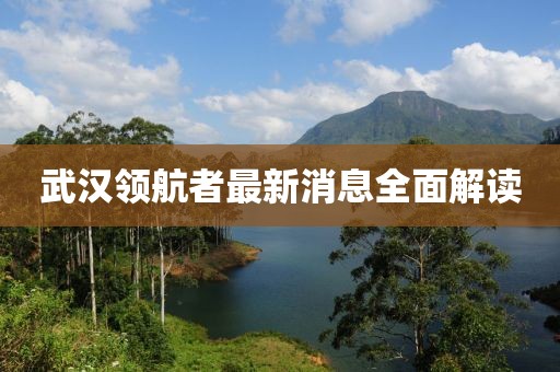武漢領(lǐng)航者最新消息全面解讀