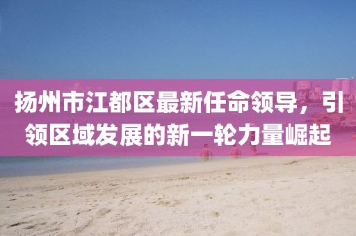揚(yáng)州市江都區(qū)最新任命領(lǐng)導(dǎo)，引領(lǐng)區(qū)域發(fā)展的新一輪力量崛起