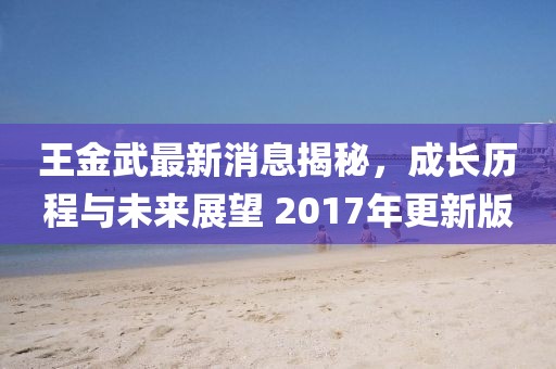 王金武最新消息揭秘，成長歷程與未來展望 2017年更新版
