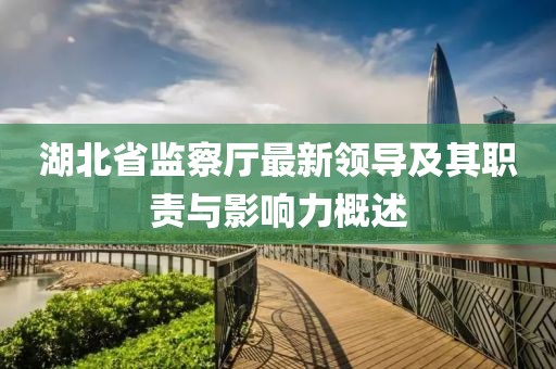 湖北省監(jiān)察廳最新領(lǐng)導(dǎo)及其職責(zé)與影響力概述