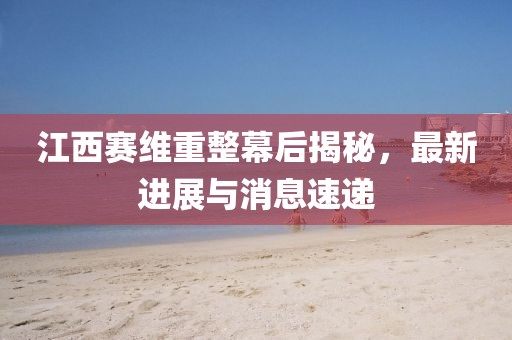 江西賽維重整幕后揭秘，最新進(jìn)展與消息速遞