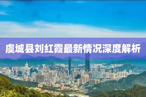 虞城縣劉紅霞最新情況深度解析