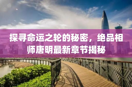 探尋命運(yùn)之輪的秘密，絕品相師唐明最新章節(jié)揭秘