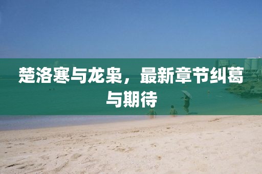 楚洛寒與龍梟，最新章節(jié)糾葛與期待