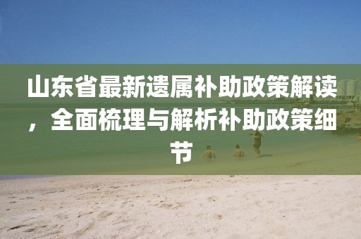 山東省最新遺屬補助政策解讀，全面梳理與解析補助政策細節(jié)