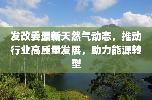 發(fā)改委最新天然氣動(dòng)態(tài)，推動(dòng)行業(yè)高質(zhì)量發(fā)展，助力能源轉(zhuǎn)型
