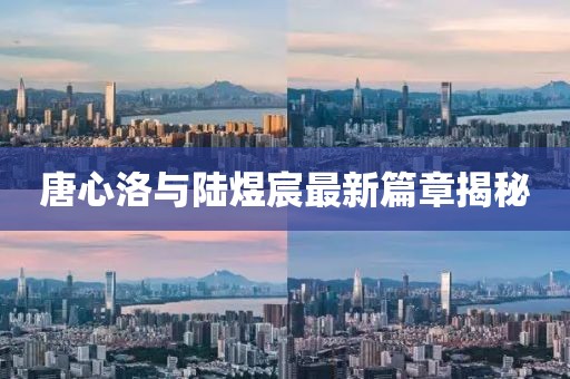唐心洛與陸煜宸最新篇章揭秘