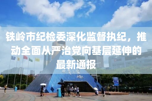 鐵嶺市紀檢委深化監(jiān)督執(zhí)紀，推動全面從嚴治黨向基層延伸的最新通報