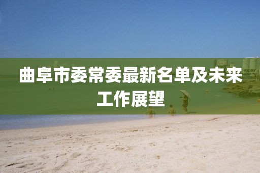 曲阜市委常委最新名單及未來工作展望