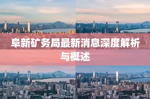 阜新礦務(wù)局最新消息深度解析與概述