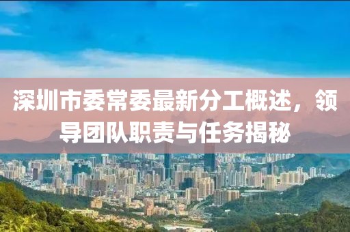 深圳市委常委最新分工概述，領(lǐng)導(dǎo)團(tuán)隊(duì)職責(zé)與任務(wù)揭秘