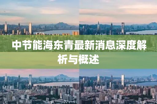 中節(jié)能海東青最新消息深度解析與概述